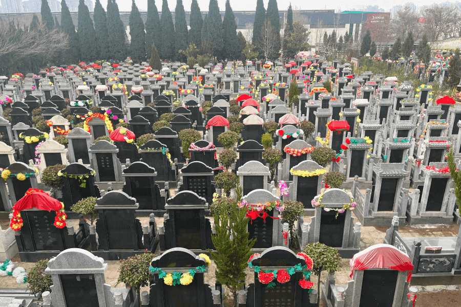 青龙岗纪念园墓区环境图